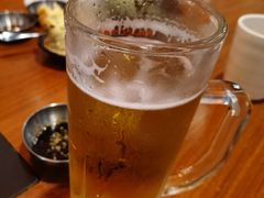 -大阪烧肉BAKA一代(十亩地店)