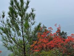 -剑门关风景区