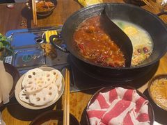 -阳阳老火锅(小南门店)