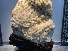 -游龙石文化科普馆