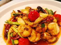 泉水牛蛙-乾园(恒隆广场店)