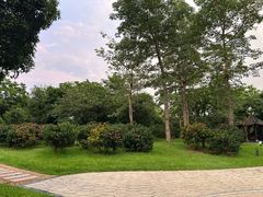 -雀儿山公园