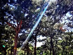 -北京西山国家森林公园