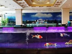 -鹏天阁酒楼·海鲜(红旗店)