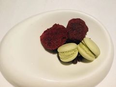 -蝶舍·MAISON PAPILLON