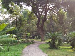 -华南国家植物园-售票处