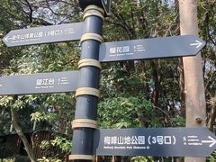-福道