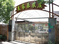 -美家乐农庄·露营·团建(大治路店)