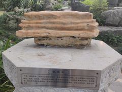 -东莞植物园