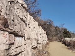 -北京西山国家森林公园