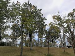 -牛岗山公园