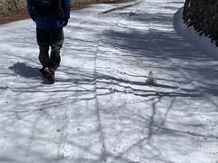 -白草畔自然风景区