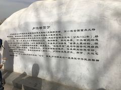 -卢沟桥文化旅游区