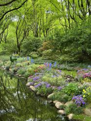 -BabyA 专业婴童摄影(古北时尚广场店)