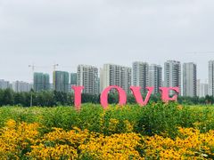 -丁香湖公园