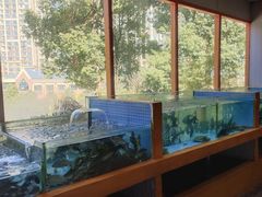 -回头食客-李久其家民间餐厅(望城金桥国际店)