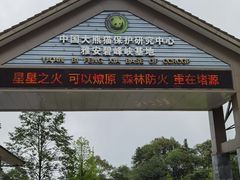 -中国大熊猫保护研究中心雅安碧峰峡基地