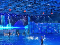 -海合安青岛极地海洋公园