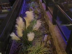 -绿茶餐厅(昆明世纪金源店)