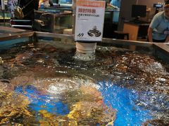 水产区-盒马鲜生(杭州运河上街店)