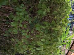 -泰堤坊(淡水体育馆店)