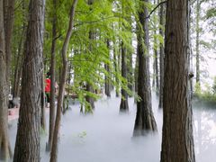 -东湖落雁景区