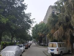 -四川大学(望江校区)