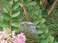 -浙江西子宾馆·瑶园咖啡厅