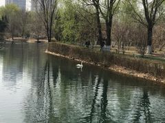 -长白岛森林公园