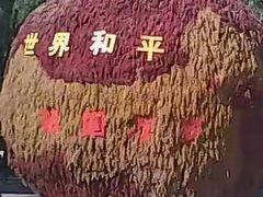 -北戴河集发农业梦想王国
