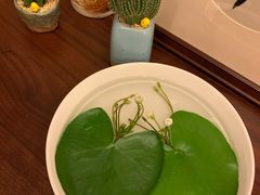 -武汉花鸟市场