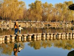 -西安浐灞国家湿地公园