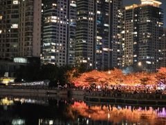 -西北湖绿化广场