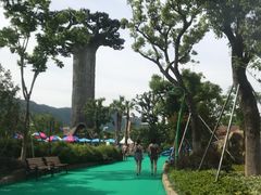 -苏州乐园森林水世界