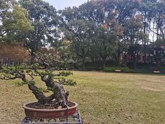 -申粤轩酒楼·三十年粤菜经典(丁香花园店)