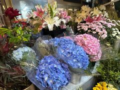 -怡花宜木鲜花店(朝阳路店)