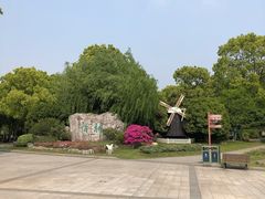 -上海鲜花港