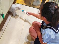 -藏猫猫咖啡主题馆(中央大道店)