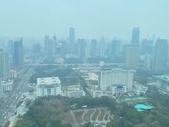-上海新世界丽笙大酒店旋景餐厅(人民广场店)