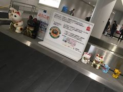 -中部国际机场