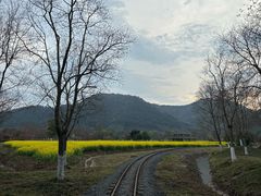 -径山花海