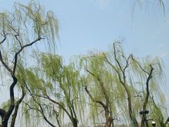 -柳浪闻莺公园