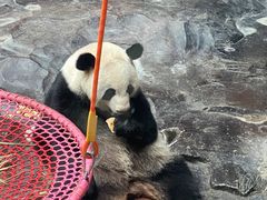-济南野生动物世界