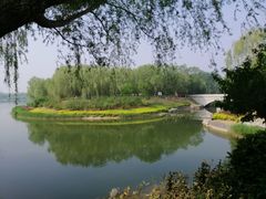 -大兴滨河森林公园