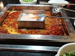 鸳鸯锅-红鼎坊·老成都火锅(新南门店)