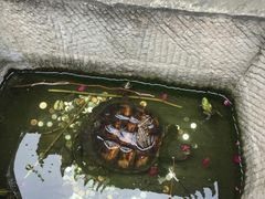 -生宇山珍野生菌汤锅•始于1999(双流古塔店)