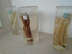 -米果果小镇