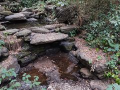 -水濂山森林公园