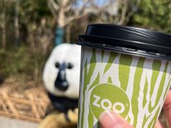 -ZOO COFFEE动物园咖啡(红山森林动物园店)