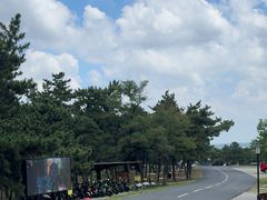-东海森林温泉度假酒店